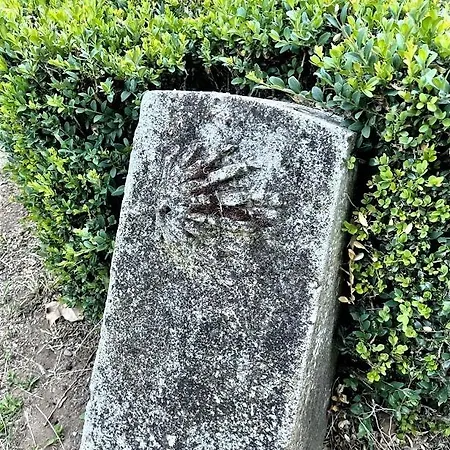 B&B Puente De Orbigo 3*