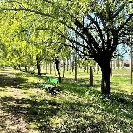 Puente De Orbigo B&B Hospital de Órbigo