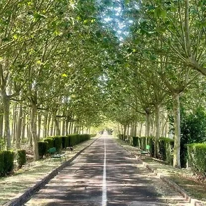 Puente De Orbigo فندق مبيت وإفطار 3*