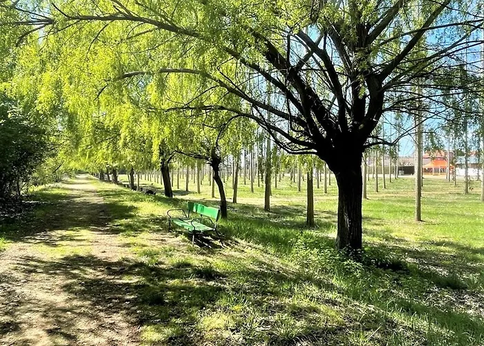 Puente De Orbigo فندق مبيت وإفطار Hospital de Órbigo
