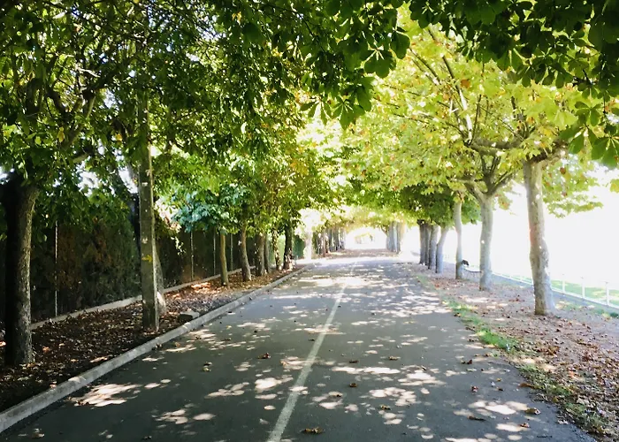 Puente De Orbigo فندق مبيت وإفطار Hospital de Órbigo